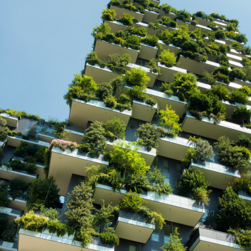 building with living green walls
