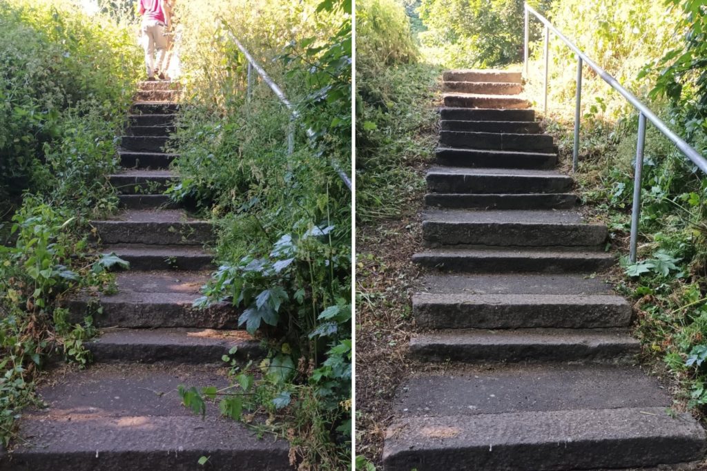 Two pictures of the same set of stairs side by side, the one of the left is overgrown with weeds and foliage and the one on the left is more cut back making the steps more accessible 