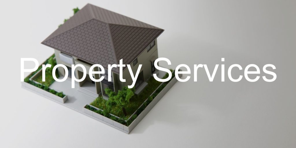 There is a small model of a house to the left of the image, sitting on a grey table and background, the text 'property services' is at the forefront of the image