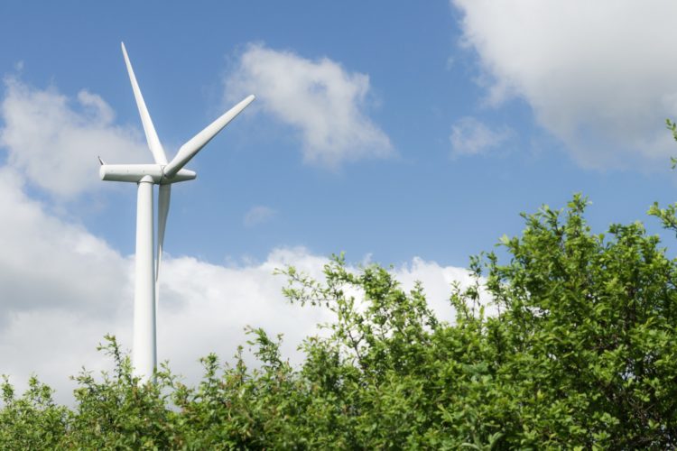 a wind turbine is to the left of the image, with a green bush to the bottom right, in the background are clouds on a blue sky